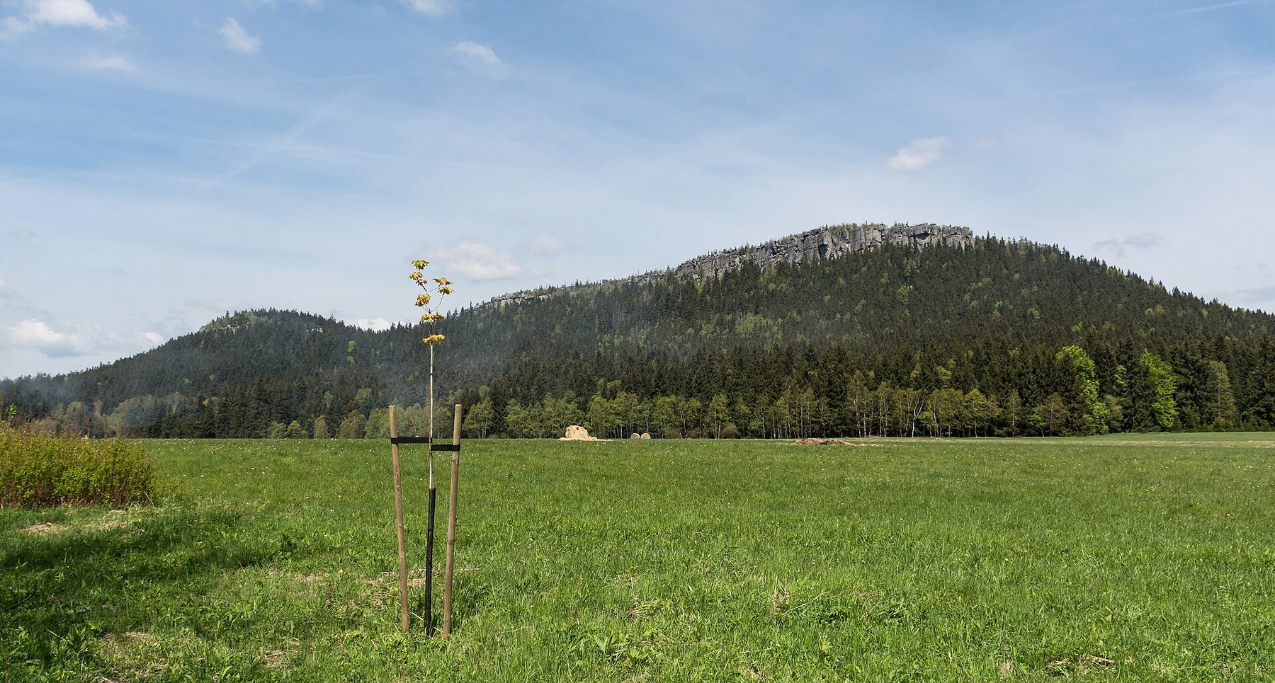 Ściana Gór Stołowych nad Radkowem